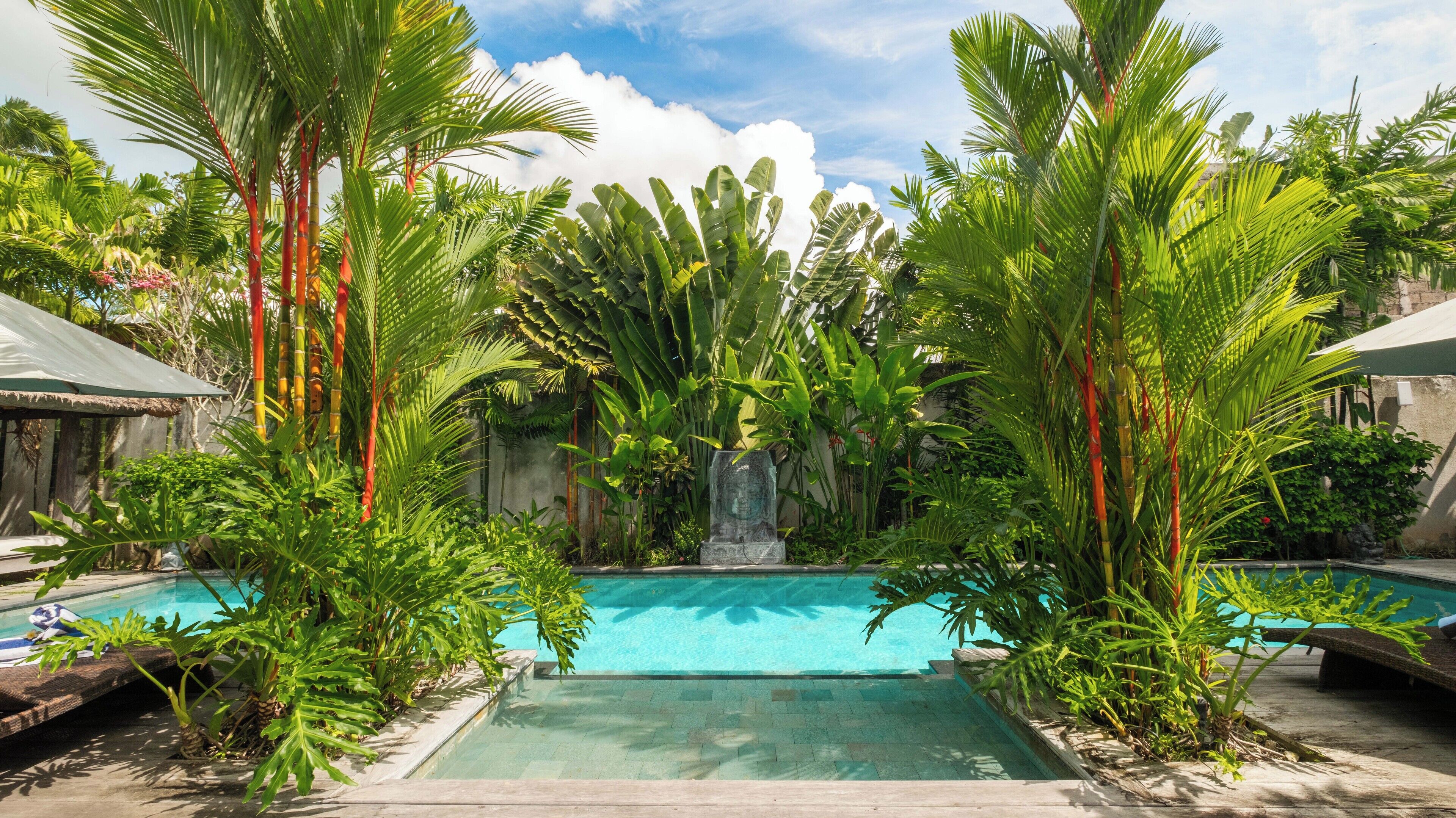 Una piscina rodeada de exuberante vegetación tropical y un cielo azul despejado.