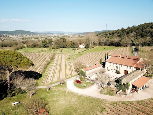 gîte lavande, gîte de charme au milieu des vignes