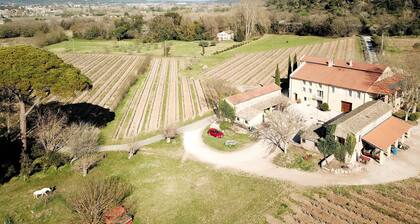 gĂźte lavande, gĂźte de charme au milieu des vignes