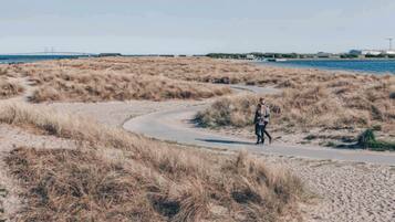 A pathway curving through a dry, grassy landscape with a body of water and industrial structures in the background.