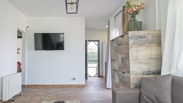 Een televisie en een open haard