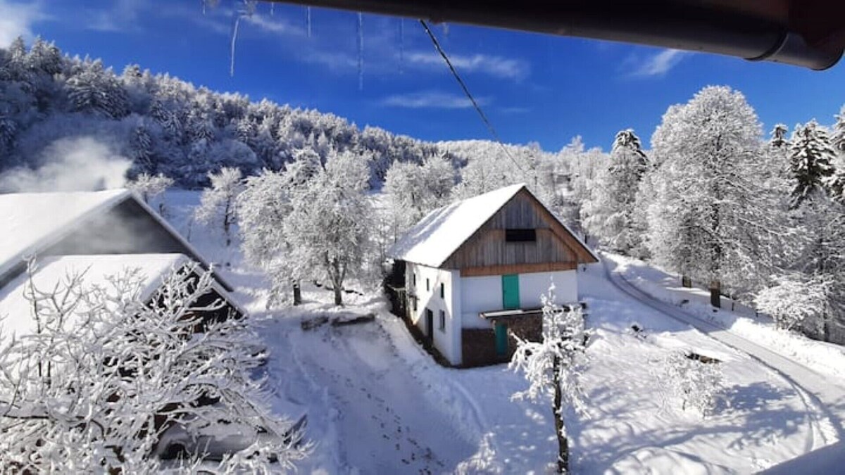 Image de profil de l’hôte