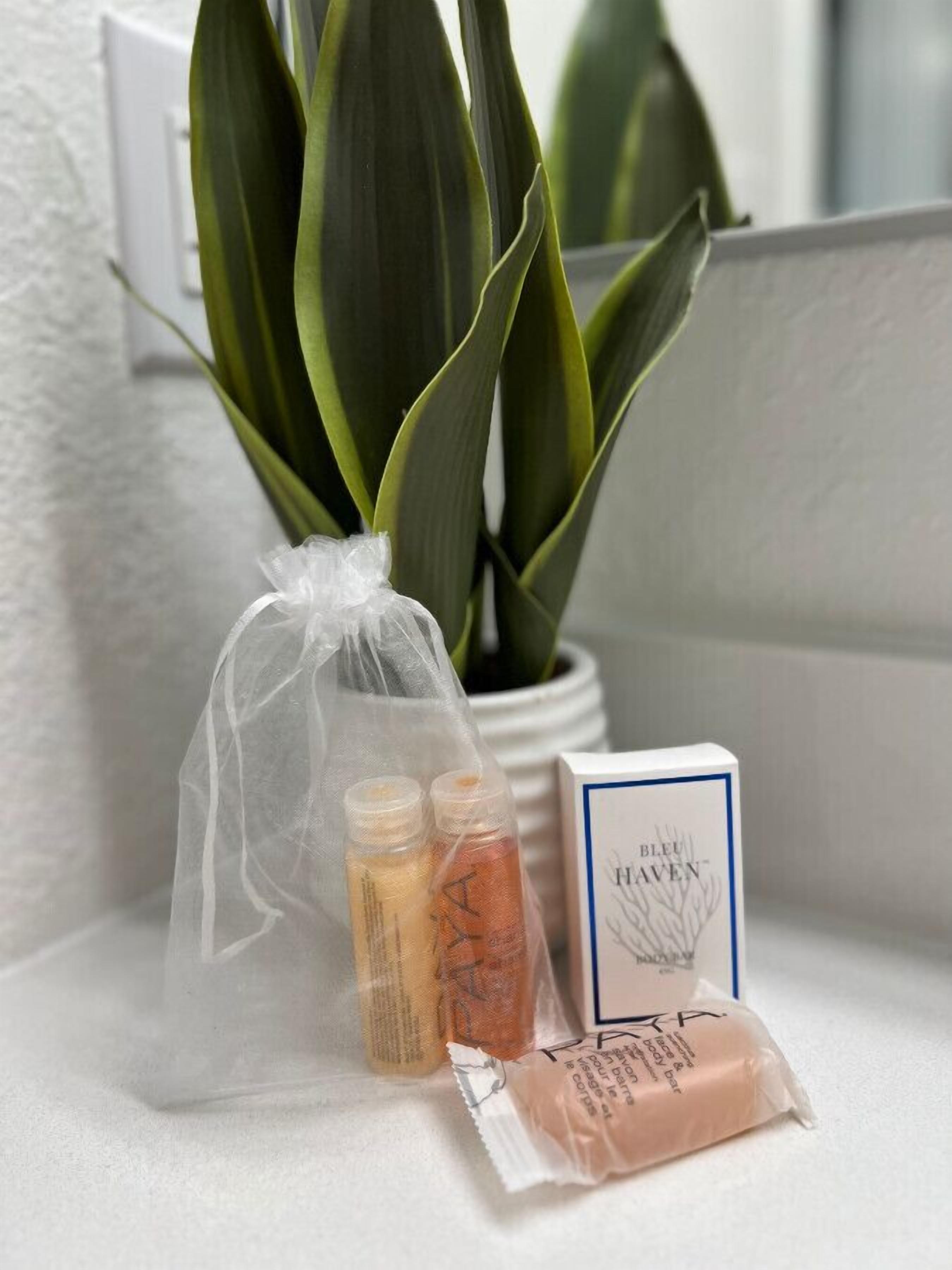Une petite plante, un flacon de lotion et une boîte de savon en pain, le tout posé sur une surface blanche.