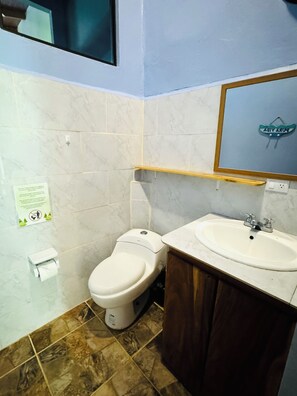 A bathroom with a toilet, sink, and mirror.