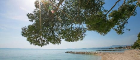 Apartment, 3 Bedrooms, Accessible, Smoking | Beach