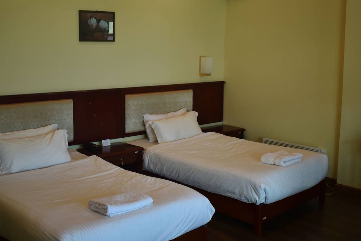 Two single beds with wooden headboards, a nightstand, and a framed picture on the wall.