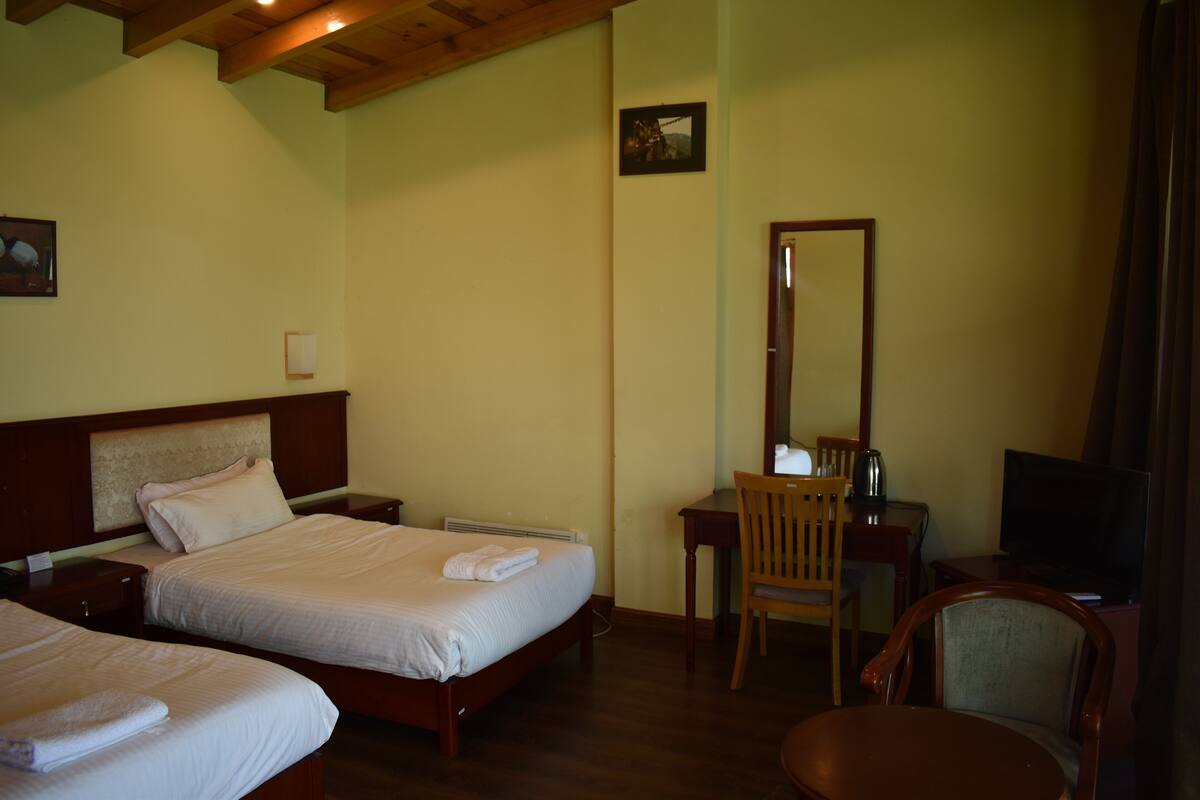 A hotel room with two beds, a desk with a chair, a television, and a mirror.
