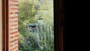 Une fenêtre donnant sur un mur de briques et une zone boisée.