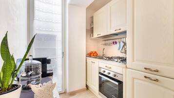 Fridge, oven, stovetop, coffee/tea maker