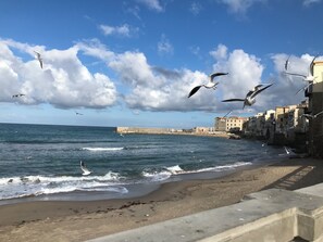 Playa en los alrededores 