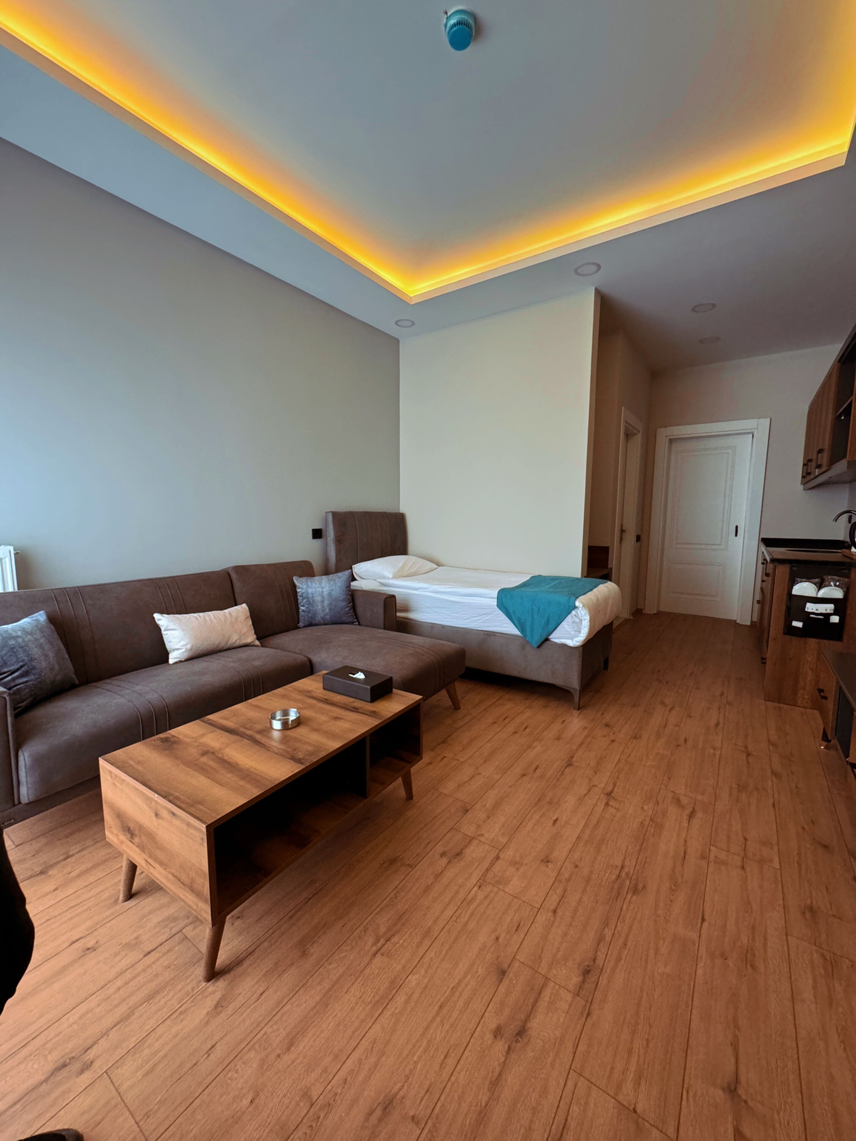 A modern hotel room with a sofa, a bed, a wooden coffee table, and a kitchenette.