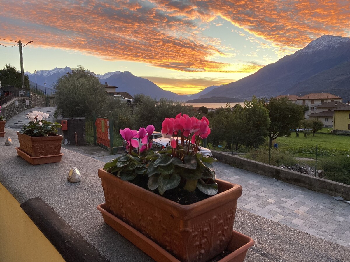 Imagen de perfil del propietario o de la propietaria