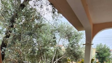Apartamento | Terraço/pátio