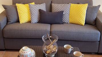 Télévision, lecteur de DVD, livres