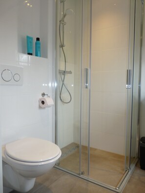 Douche, séchoir à cheveux, papier de toilette