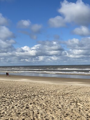 Playa