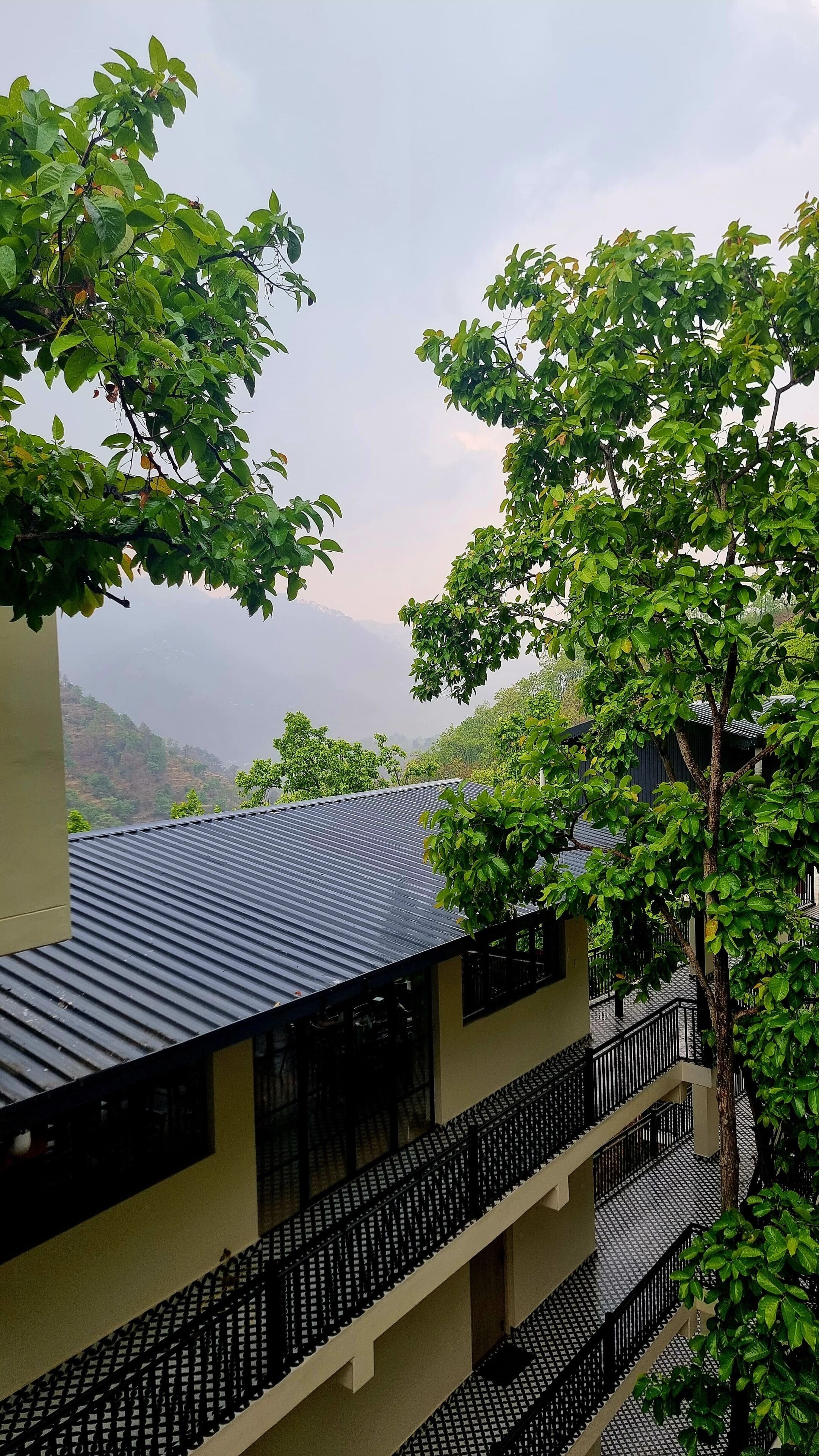 A building with a corrugated metal roof, a balcony with a black railing, and lush green trees.