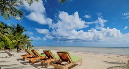 "Sea-Turtle" Studio @NorthBeachRetreat
