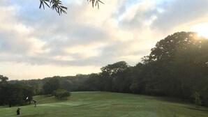 A golf course with a flag, trees, and a clear sky. - Espresso Martini (Atlanta)