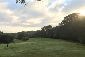 A golf course with a flag, trees, and a clear sky.