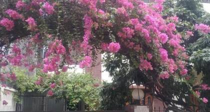 Taz Garden House
