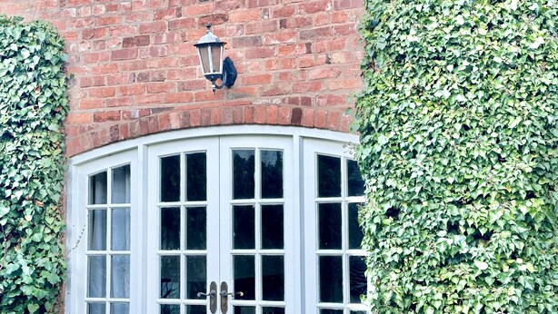 A white double door with a black lantern above it, surrounded by ivy-covered walls.
