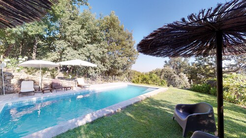 Abejas 1- El Vergel de Chilla