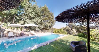 Abejas 1- El Vergel de Chilla