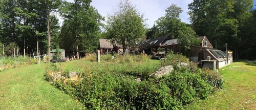 Artist's Cottage in Woods