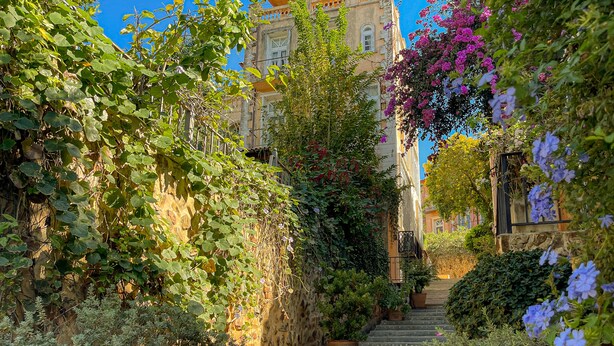 Una escalera de piedra rodeada de abundante vegetación y plantas florecientes, que conduce a un edificio de arquitectura tradicional.