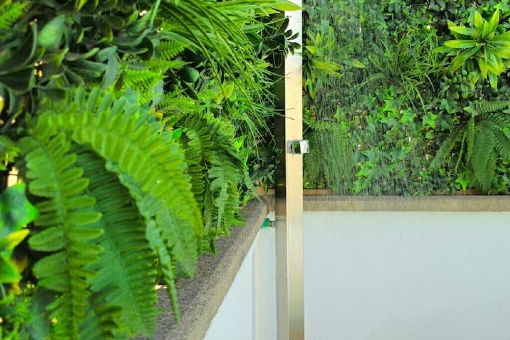 A lush green garden with dense foliage and a white wall.