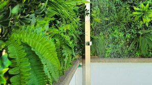 A lush green garden with dense foliage and a white wall. - La Villa del Valle (CN)