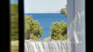 Blick durch ein Fenster mit einem Blumentopf auf der Fensterbank, mit Blick auf ein Gewässer und grüne Vegetation.