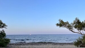Ein Strand mit felsigem Ufer und spärlicher Vegetation.