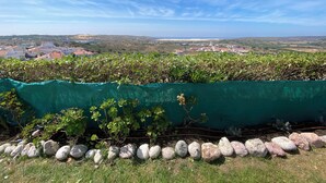 Un vignoble avec des treillis verts et des pierres blanches au premier plan, dominant une ville côtière aux bâtiments aux toits rouges.