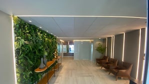 Un interior moderno con piso de madera, pared verde con plantas y sillones de cuero.