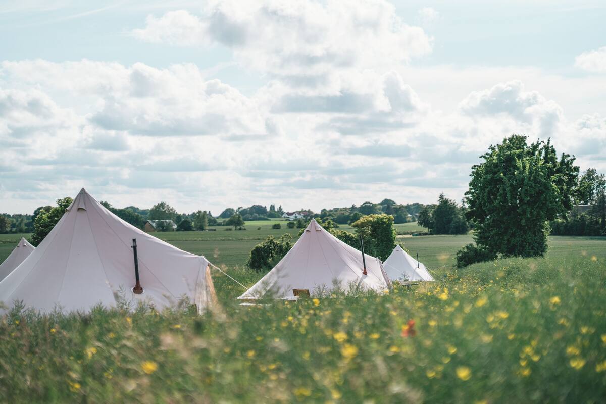 Three white tents in a grassy field with a tree and a clear sky in the background.