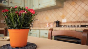 A kitchen with light green cabinets, a tiled backsplash, and a potted plant with red flowers on a woven placemat. - CasaMatta2 Apartment in the heart of the medieval village of Giglio Castello. (Giglio Castello)