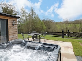 A hot tub with a wooden deck and outdoor furniture, surrounded by a wooden fence and trees.