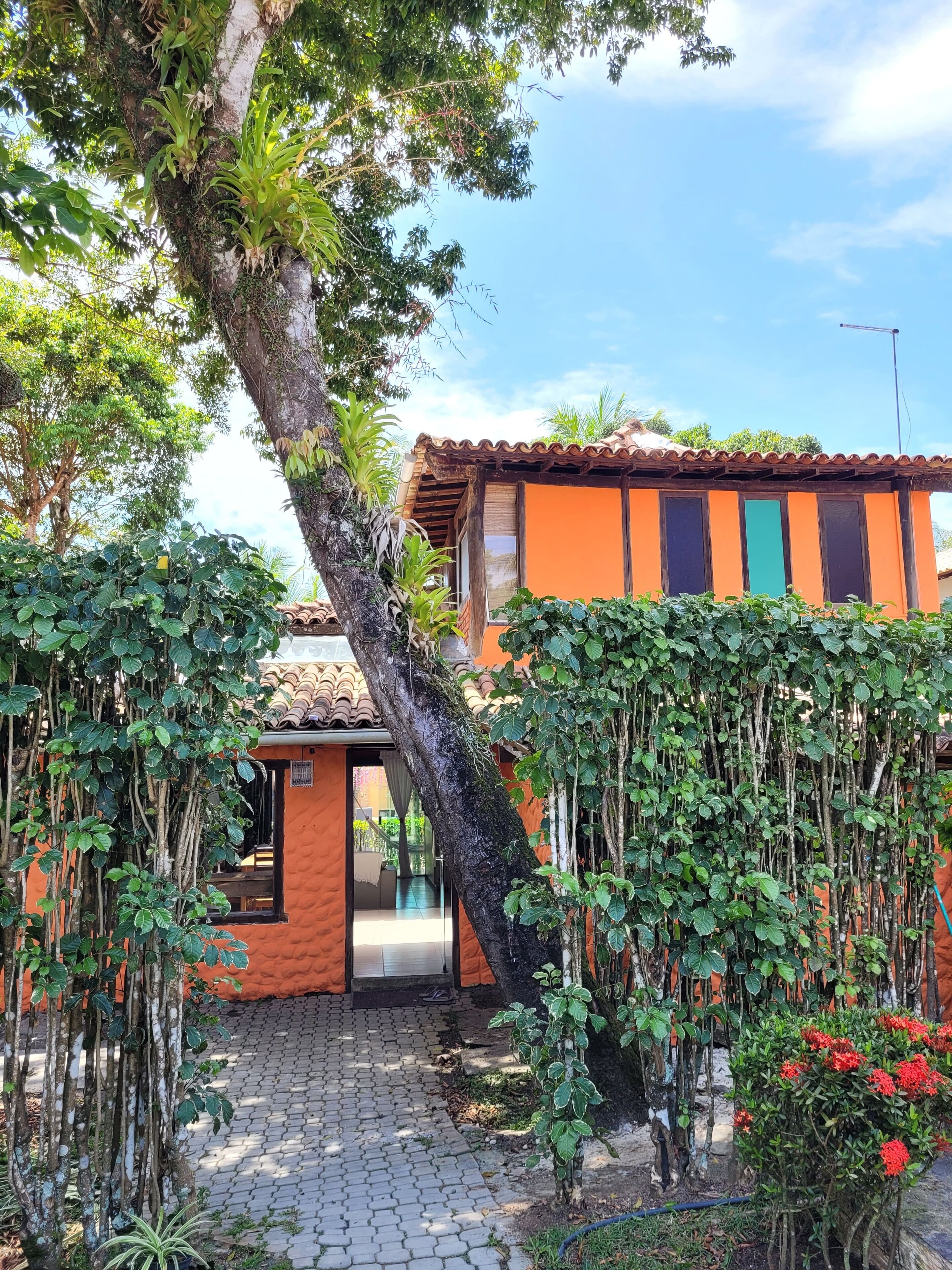 Foto - Pousada Tropicália