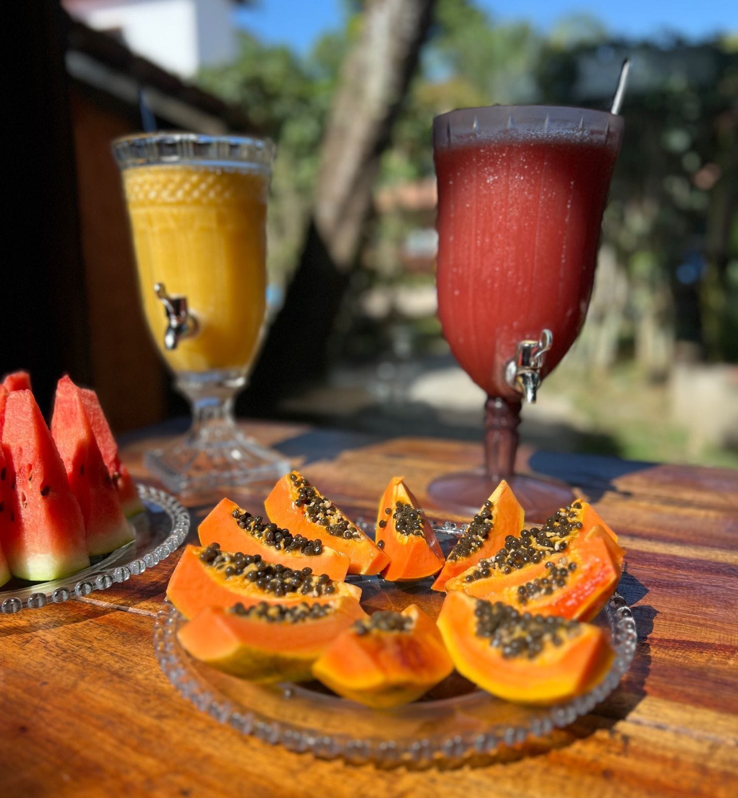 Foto - Pousada Tropicália