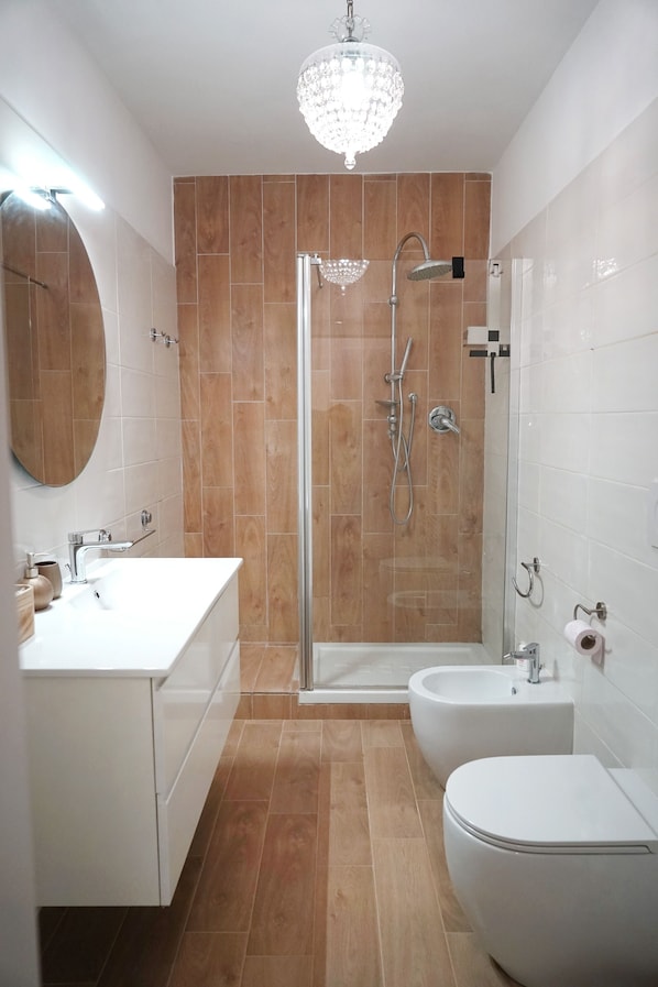 Shower, hair dryer, bidet, towels
