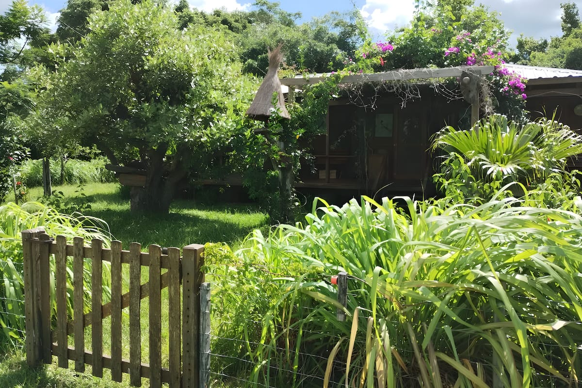 A garden with a wooden gate, lush greenery, and a house with a thatched roof.