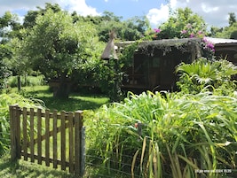 Cabaña económica, 2 camas individuales, no fumadores, vistas al jardín | Edredones de plumas, wifi gratis, ropa de cama