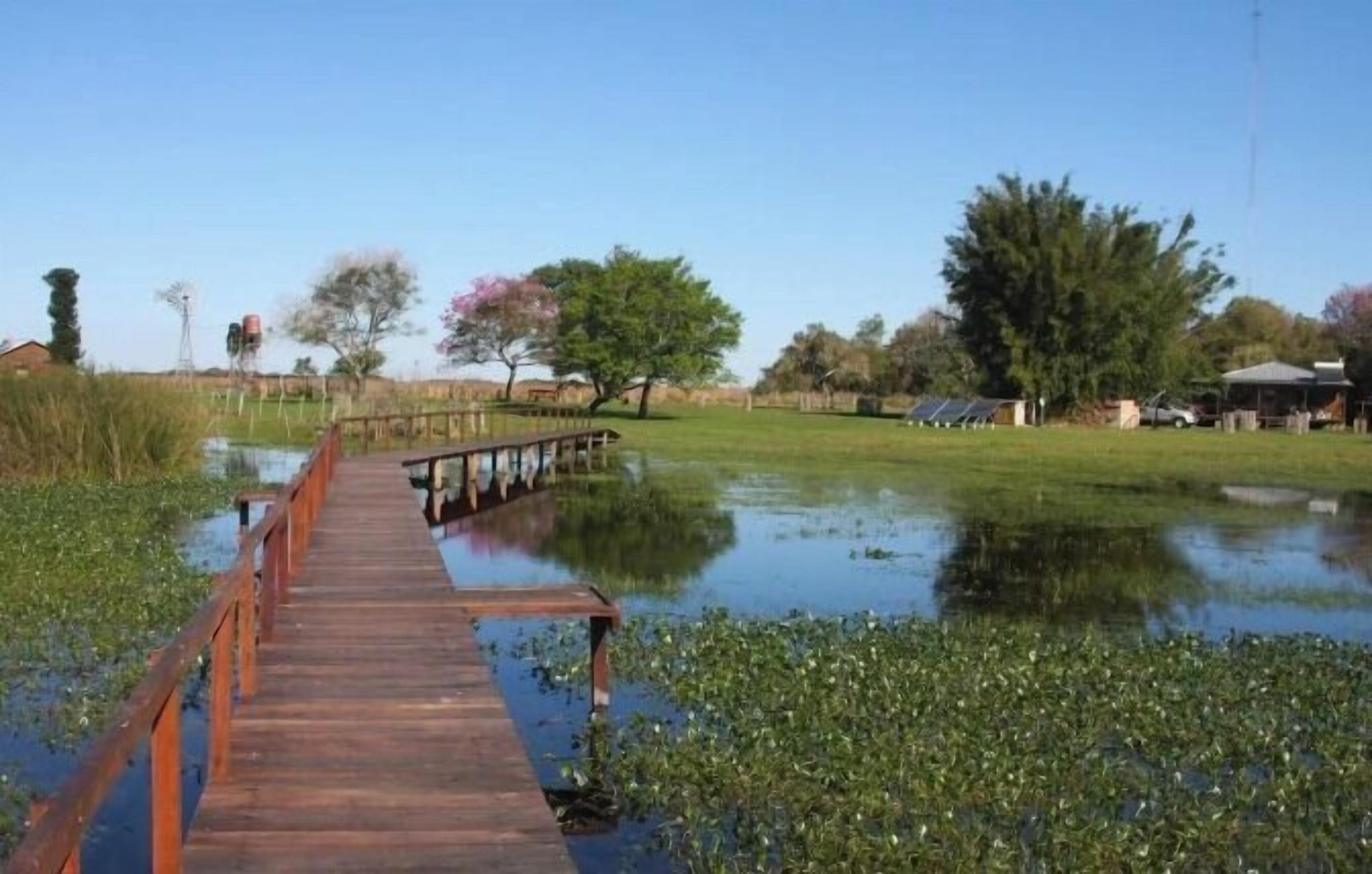 Un pont en bois enjambant une étendue d’eau, entouré de verdure et sous un ciel dégagé.