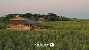 Comfort Studio Suite | Down comforters, free WiFi, bed sheets