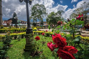 Exterior - CASA HOTEL LAS HORTENSIAS (Jardin)