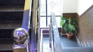 A staircase with a potted plant on the right and a metallic object on the left. - TRPOTEL SUBMANGAL (Gwalior)