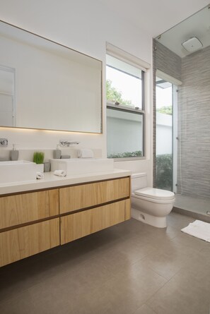 Shower, hair dryer, towels