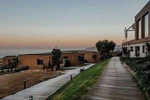 Un edificio moderno con fachada de madera, un camino que lleva a una zona con césped y vista al océano.